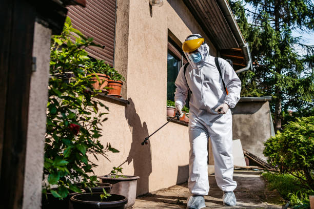 Insect Control in Amity Gardens, PA