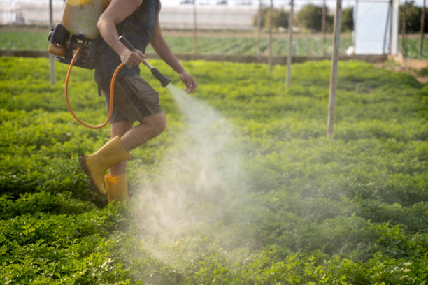 Best Pest Inspection Near Me  in Amity Gardens, PA