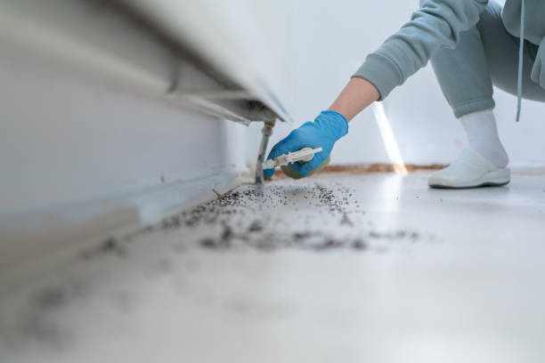 Best Best Pest Control Companies  in Amity Gardens, PA